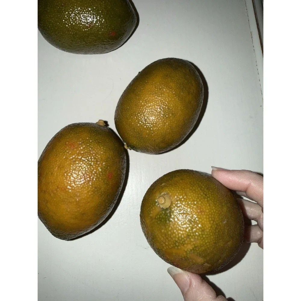 Limes Artificial Faux Fake Fruit Yellow 4Pc Lot Home Decor Realistic Lightweight